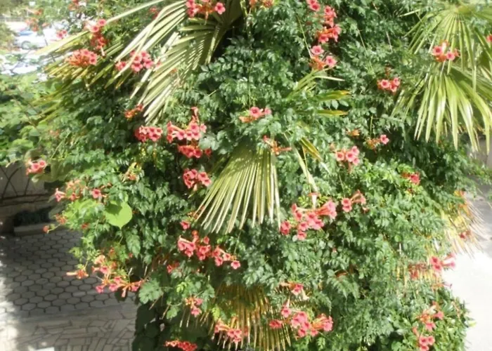 Barbara شقة بوريتش