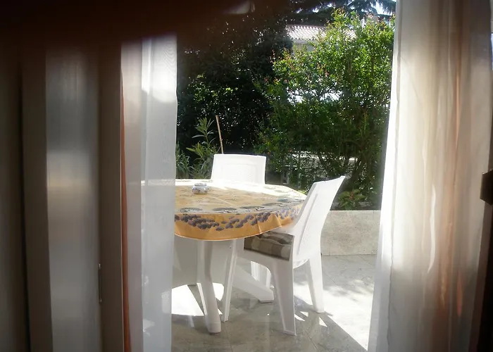 Barbara بوريتش